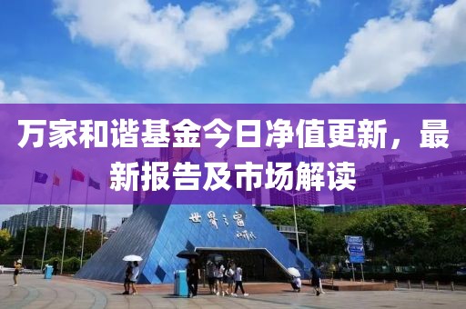 萬家和諧基金今日凈值更新，最新報告及市場解讀