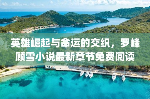 英雄崛起與命運(yùn)的交織，羅峰顧雪小說(shuō)最新章節(jié)免費(fèi)閱讀