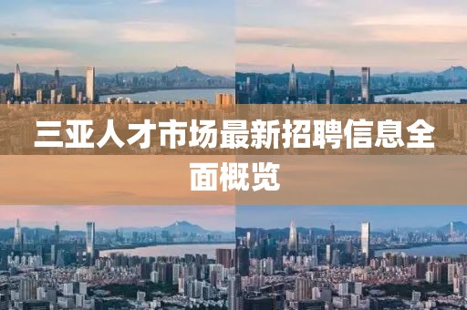 三亞人才市場最新招聘信息全面概覽