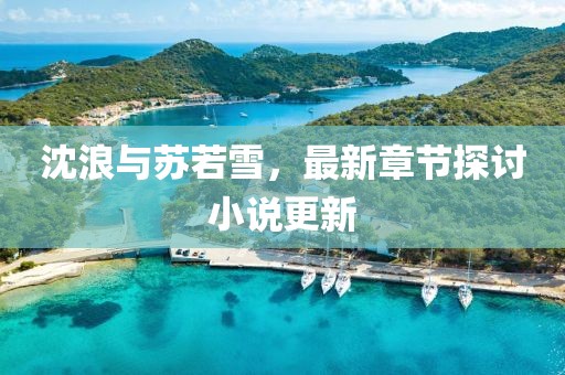 沈浪與蘇若雪，最新章節(jié)探討小說(shuō)更新