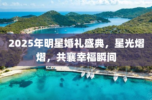 2025年明星婚禮盛典，星光熠熠，共襄幸福瞬間