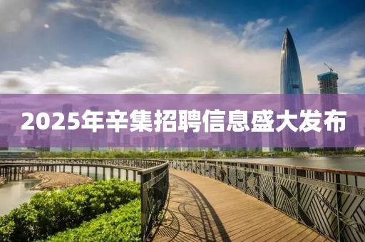 2025年辛集招聘信息盛大發(fā)布