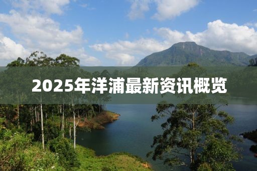 2025年洋浦最新資訊概覽