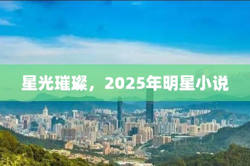 星光璀璨，2025年明星小說