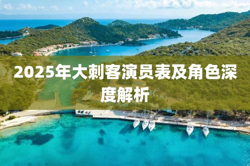 2025年大刺客演員表及角色深度解析