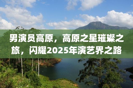 男演員高原，高原之星璀璨之旅，閃耀2025年演藝界之路