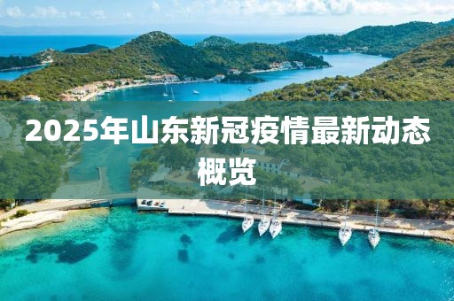 2025年山東新冠疫情最新動(dòng)態(tài)概覽