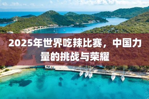 2025年世界吃辣比賽，中國力量的挑戰(zhàn)與榮耀