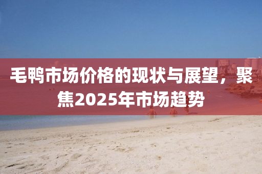 毛鴨市場價格的現(xiàn)狀與展望，聚焦2025年市場趨勢