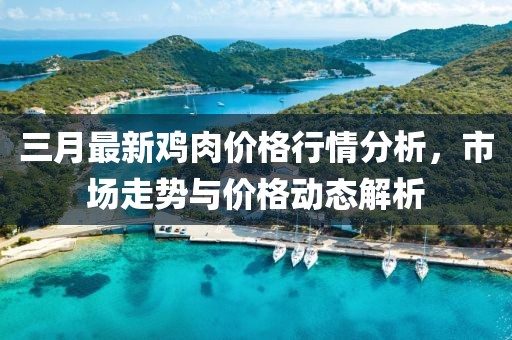 三月最新雞肉價(jià)格行情分析，市場(chǎng)走勢(shì)與價(jià)格動(dòng)態(tài)解析
