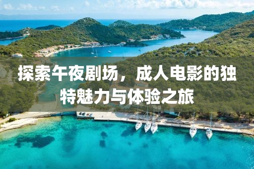 探索午夜劇場，成人電影的獨特魅力與體驗之旅