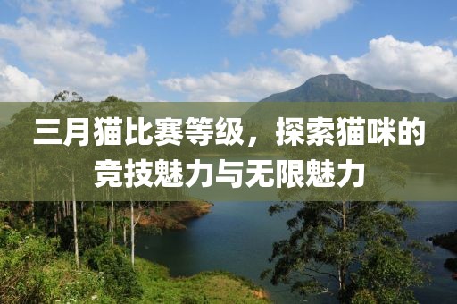三月貓比賽等級，探索貓咪的競技魅力與無限魅力