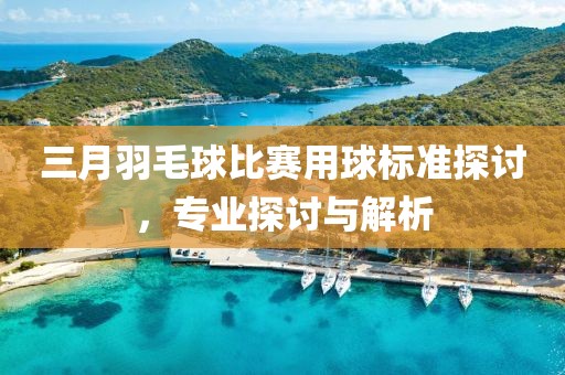 三月羽毛球比賽用球標(biāo)準(zhǔn)探討，專業(yè)探討與解析