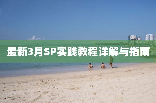 最新3月SP實(shí)踐教程詳解與指南