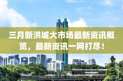 三月新洪城大市場最新資訊概覽，最新資訊一網(wǎng)打盡！