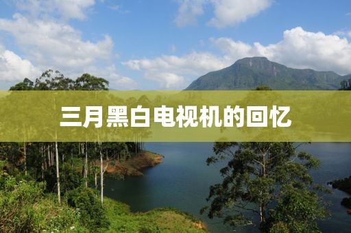 三月黑白電視機(jī)的回憶