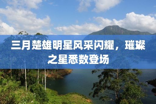 三月楚雄明星風(fēng)采閃耀，璀璨之星悉數(shù)登場(chǎng)