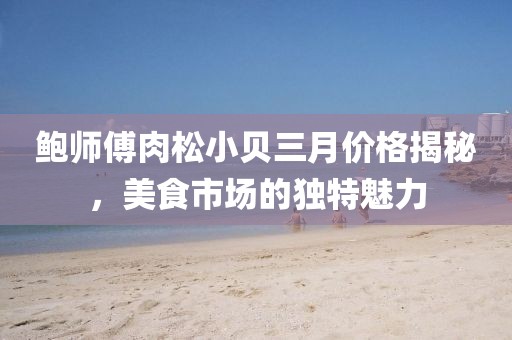 鮑師傅肉松小貝三月價(jià)格揭秘，美食市場(chǎng)的獨(dú)特魅力