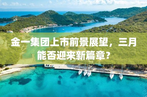 金一集團上市前景展望，三月能否迎來新篇章？