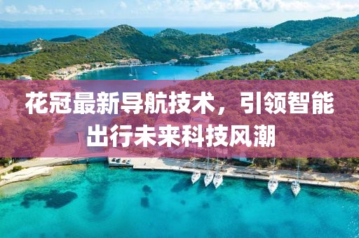 花冠最新導(dǎo)航技術(shù)，引領(lǐng)智能出行未來科技風(fēng)潮