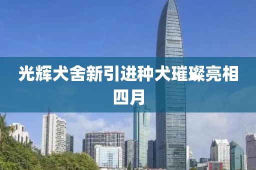光輝犬舍新引進種犬璀璨亮相四月