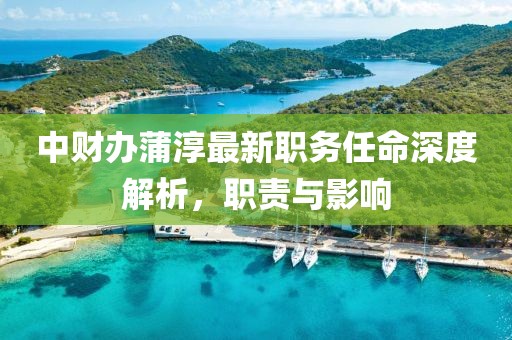 中財(cái)辦蒲淳最新職務(wù)任命深度解析，職責(zé)與影響