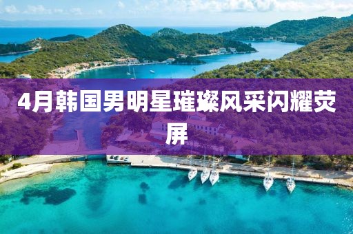 4月韓國男明星璀璨風(fēng)采閃耀熒屏