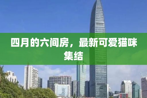 四月的六間房，最新可愛貓咪集結