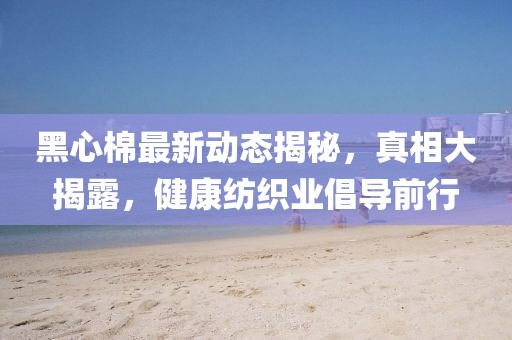 黑心棉最新動態(tài)揭秘，真相大揭露，健康紡織業(yè)倡導(dǎo)前行