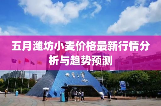 五月濰坊小麥價(jià)格最新行情分析與趨勢(shì)預(yù)測(cè)