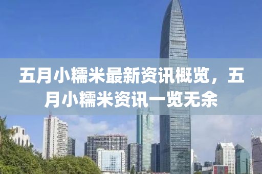 五月小糯米最新資訊概覽，五月小糯米資訊一覽無余