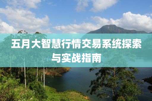 五月大智慧行情交易系統(tǒng)探索與實戰(zhàn)指南