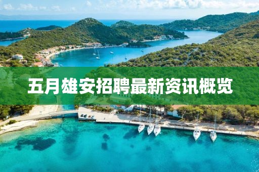 五月雄安招聘最新資訊概覽