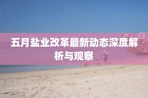 五月鹽業(yè)改革最新動態(tài)深度解析與觀察