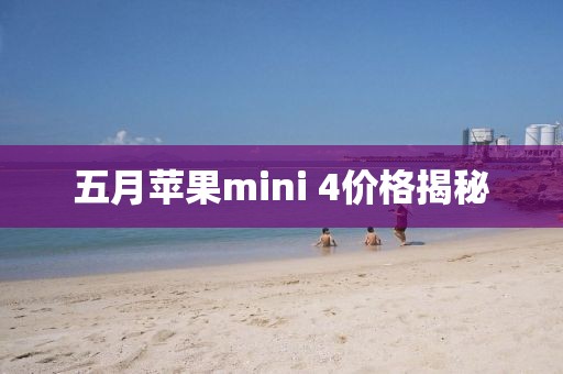 五月蘋果mini 4價格揭秘