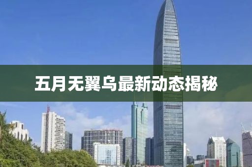 五月無(wú)翼烏最新動(dòng)態(tài)揭秘