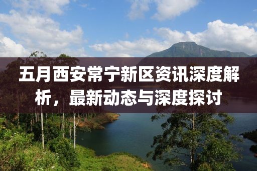 萌面人 第2頁