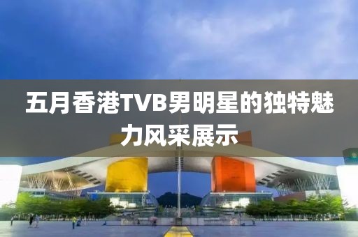 五月香港TVB男明星的獨特魅力風(fēng)采展示