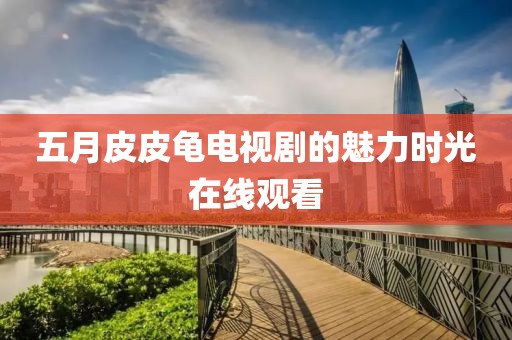 五月皮皮龜電視劇的魅力時光在線觀看