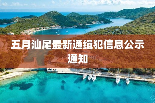 孤行者 第2頁