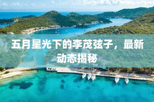 五月星光下的李茂弦子，最新動態(tài)揭秘