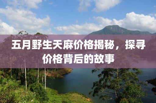 五月野生天麻價(jià)格揭秘，探尋價(jià)格背后的故事