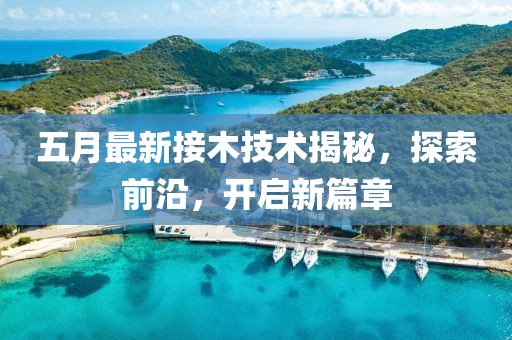 五月最新接木技術(shù)揭秘，探索前沿，開啟新篇章