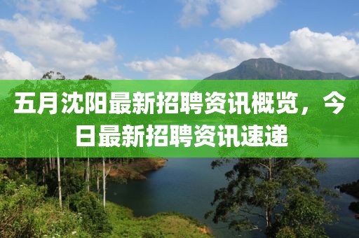 五月沈陽最新招聘資訊概覽，今日最新招聘資訊速遞