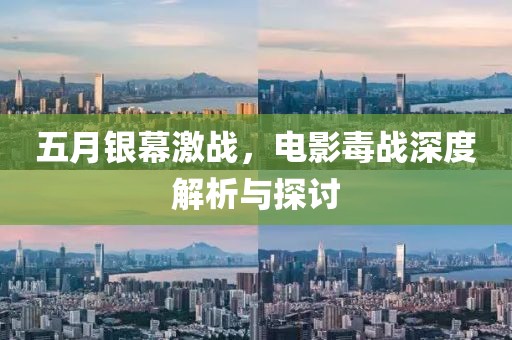 五月銀幕激戰(zhàn)，電影毒戰(zhàn)深度解析與探討