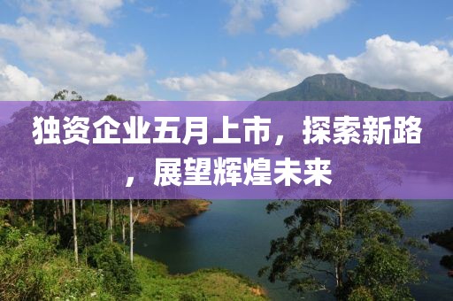 獨資企業(yè)五月上市，探索新路，展望輝煌未來