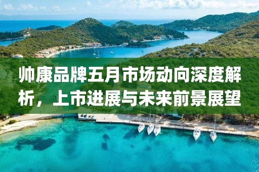 帥康品牌五月市場動向深度解析，上市進(jìn)展與未來前景展望