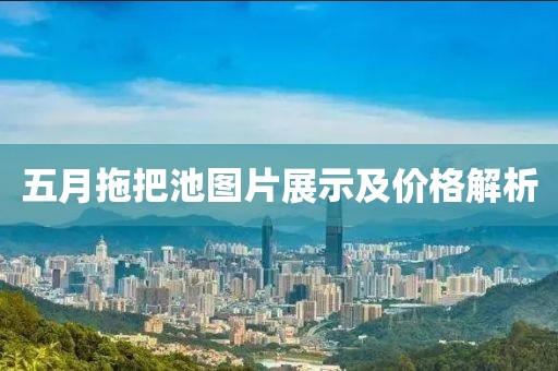 五月拖把池圖片展示及價格解析