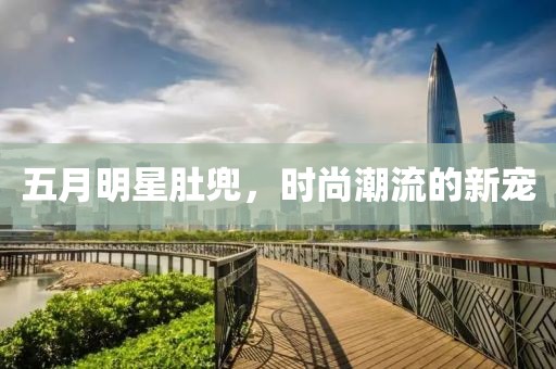 五月明星肚兜，時尚潮流的新寵