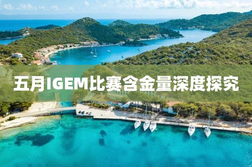 五月IGEM比賽含金量深度探究